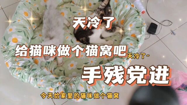 天冷了, 自己在家给猫咪做个猫窝, 既简单又省钱还暖和