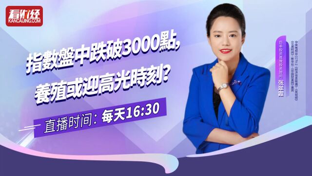 巨丰投顾张翠霞:指数盘中跌破3000点,养殖或迎高光时刻?