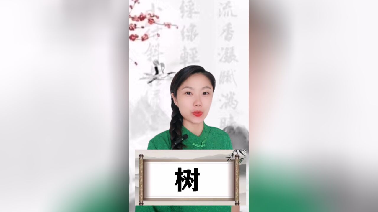 悟汉字之意,听音乐之情!今日汉字“树”