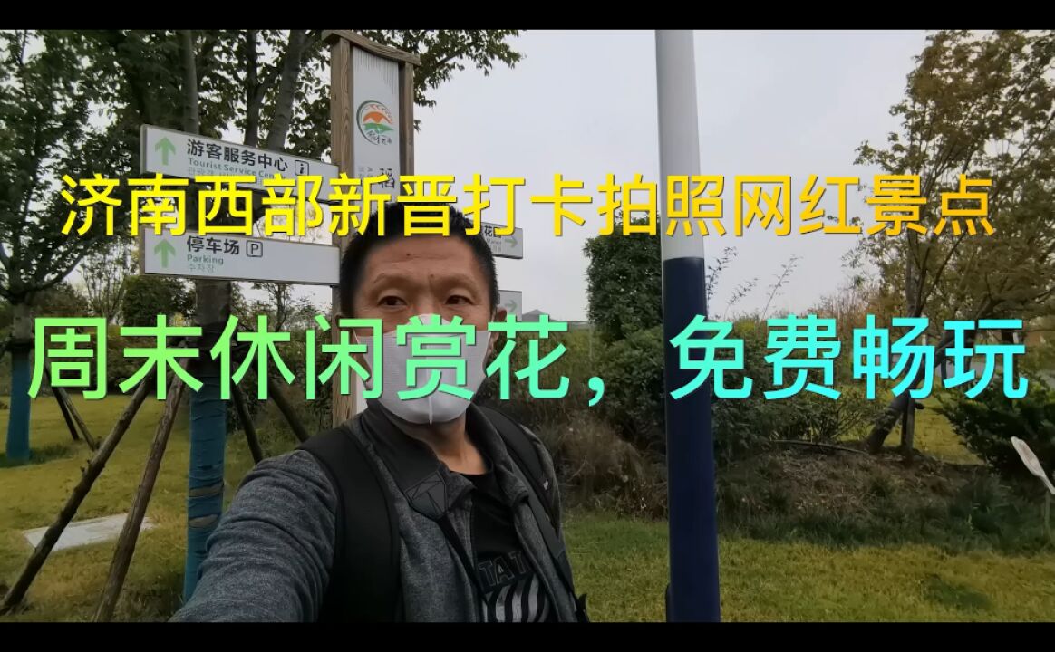 济南西部新晋拍照打卡网红景点,周末休闲赏花露营,免费畅玩