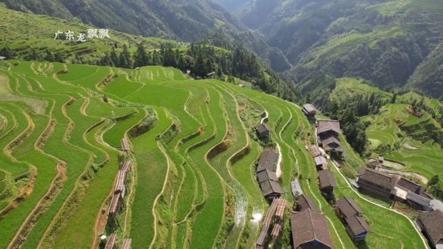 贵州加榜梯田,是月亮山腹地最大的梯田,国内最美梯田之一的地方