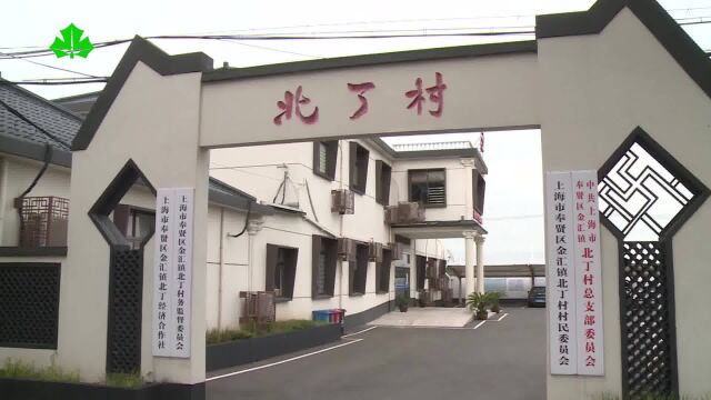 农村居住环境优化个体示范