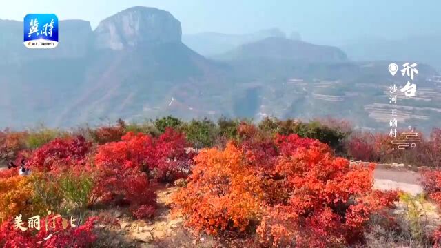 邢台王硇村