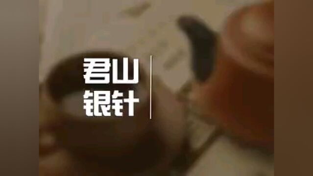 中国茶文化系列【十三大名茶】之银针