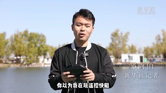 白洋淀里的“黑科技”