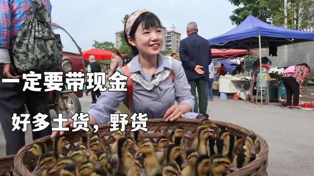 带上现金去赶集,现场密谋讨价还价,这样的集市才有灵魂