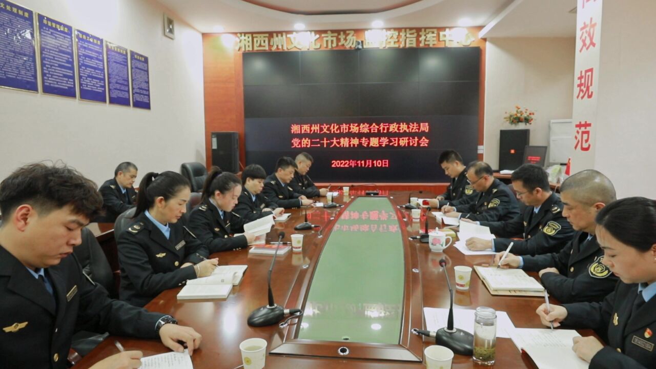 湘西州文化市场综合行政执法局:深入学习贯彻党的二十大精神