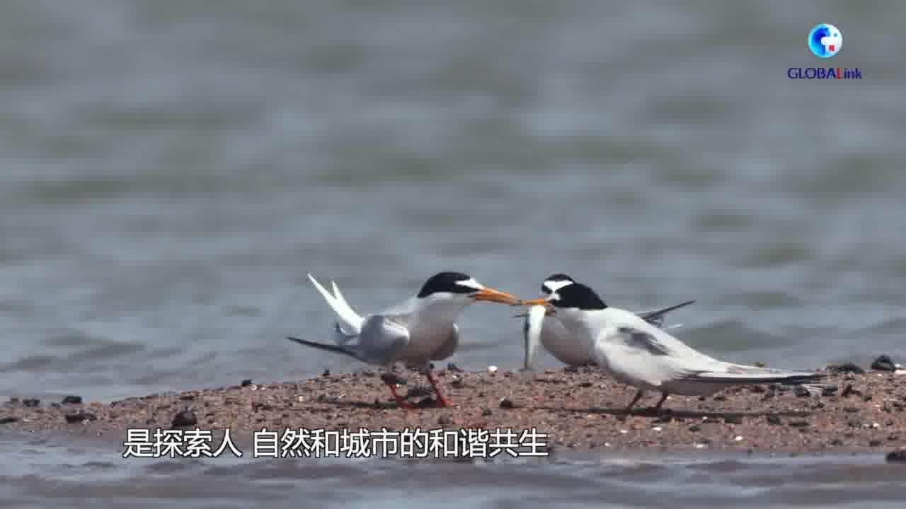 这批中国新晋湿地城市在日内瓦“领证”