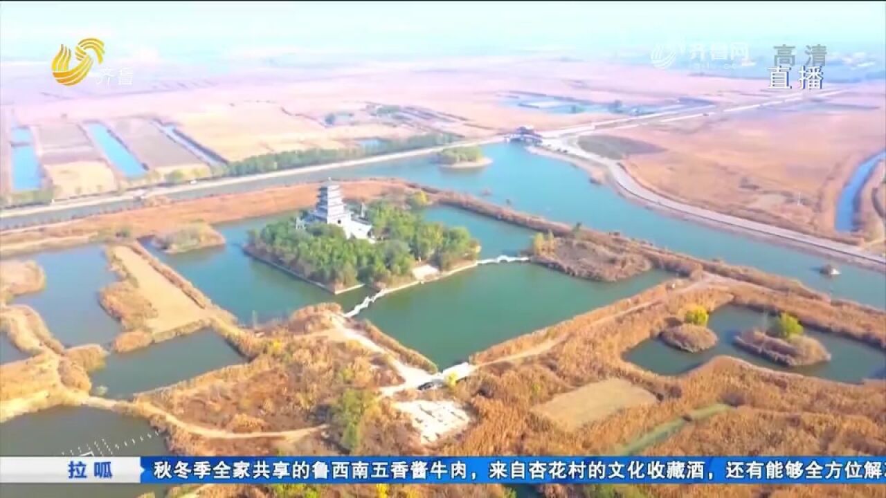 桓台马踏湖万亩苇“海”开镰收割,村民巧手加工,年产值达9000万