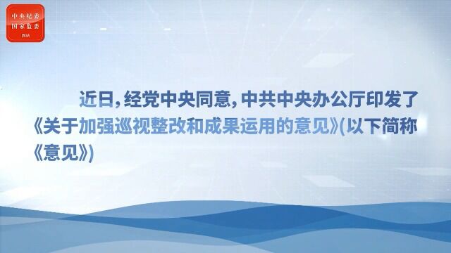 有关职能部门在巡视成果运用中承担哪些职责?