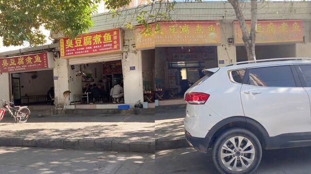 女子偶遇“臭豆腐煮雨”一条街,数十家店齐刷刷用一店名:太卷了