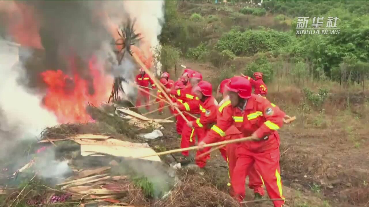 直击浙江森林火灾应急演练现场