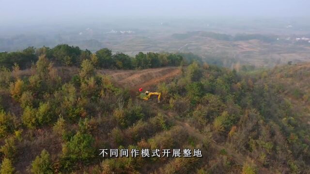 【先行先试 示范引领 】 我县冬季造林整地工作全面铺开