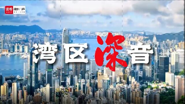 湾区深音 | 肖耿:双总部衔接双循环 推动深港深度合作