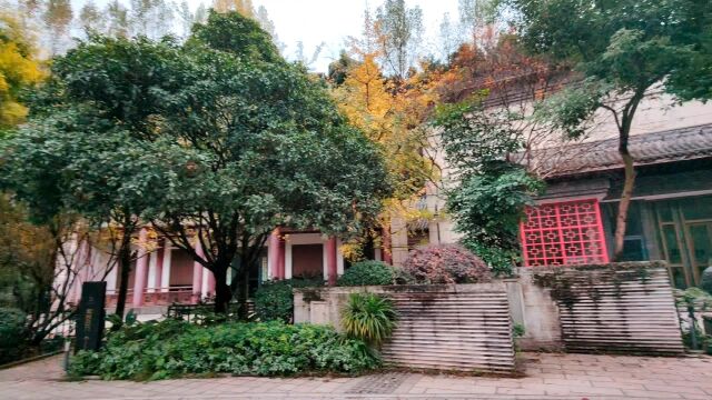 出门放风,散步天景雨山前1