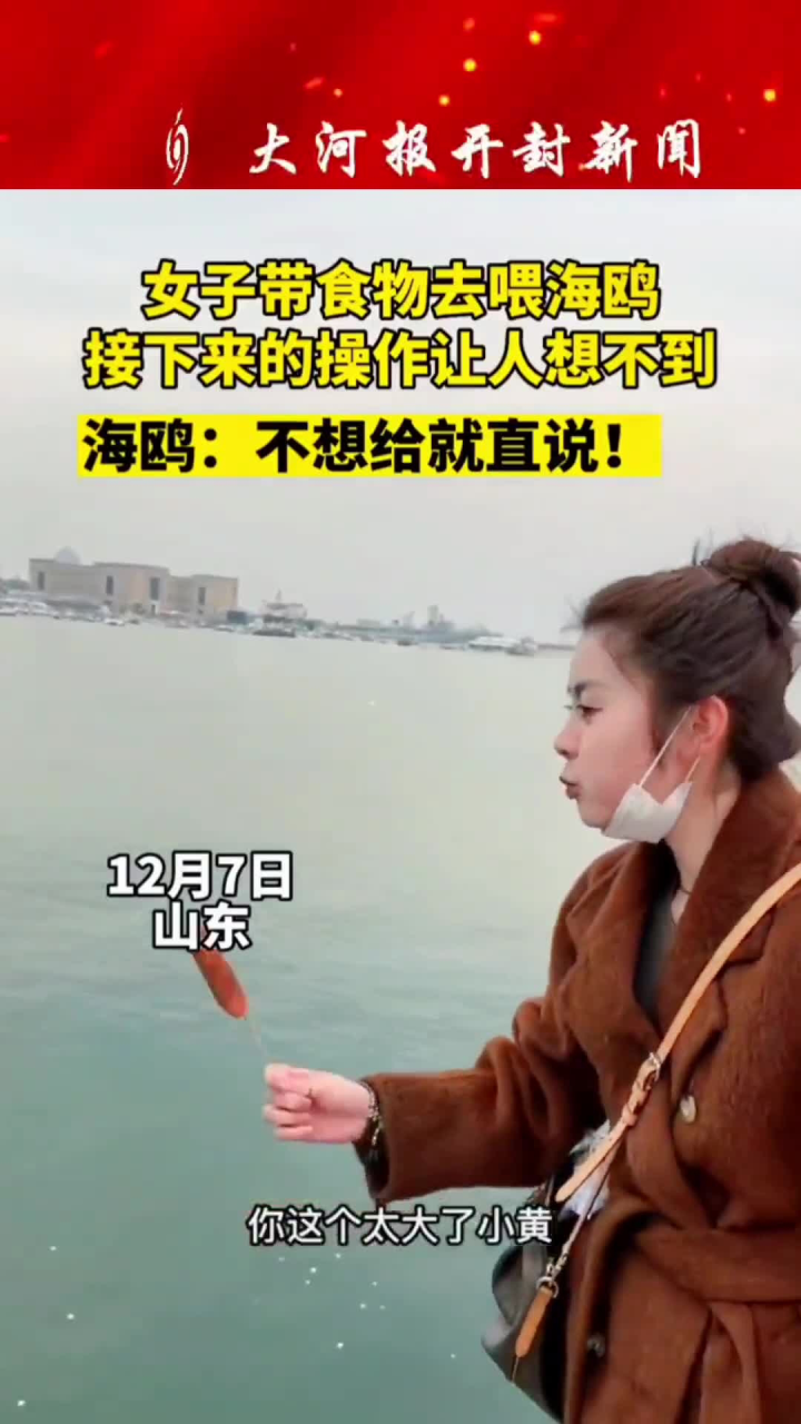 每日热点 关注我每天分享不同的故事 新闻热点 时政热点 社会热点 来源直播聊城的作品山东:女子带食物去喂海鸥,接下来操_腾讯视频