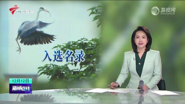 广州海珠国家湿地公园入选世界自然保护联盟绿色名录