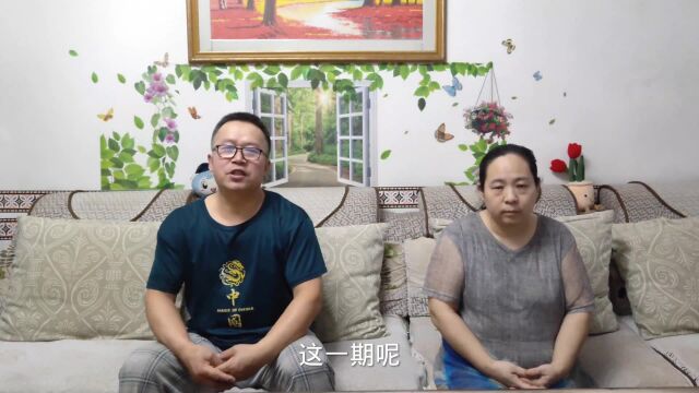 肖战王曼昱师徒选择分开前进!对于双方的这一决定,如何解读