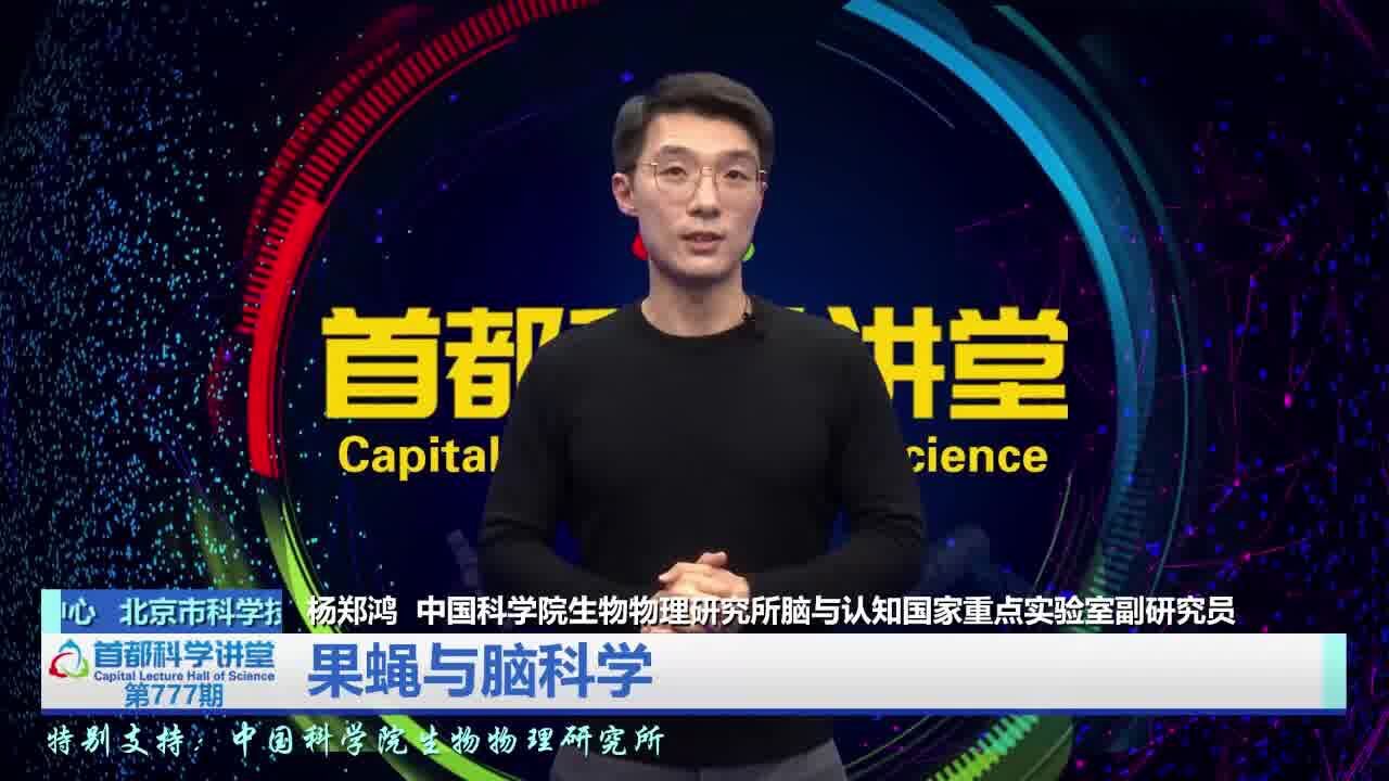 首都科学讲堂丨果蝇与脑科学(首播版)