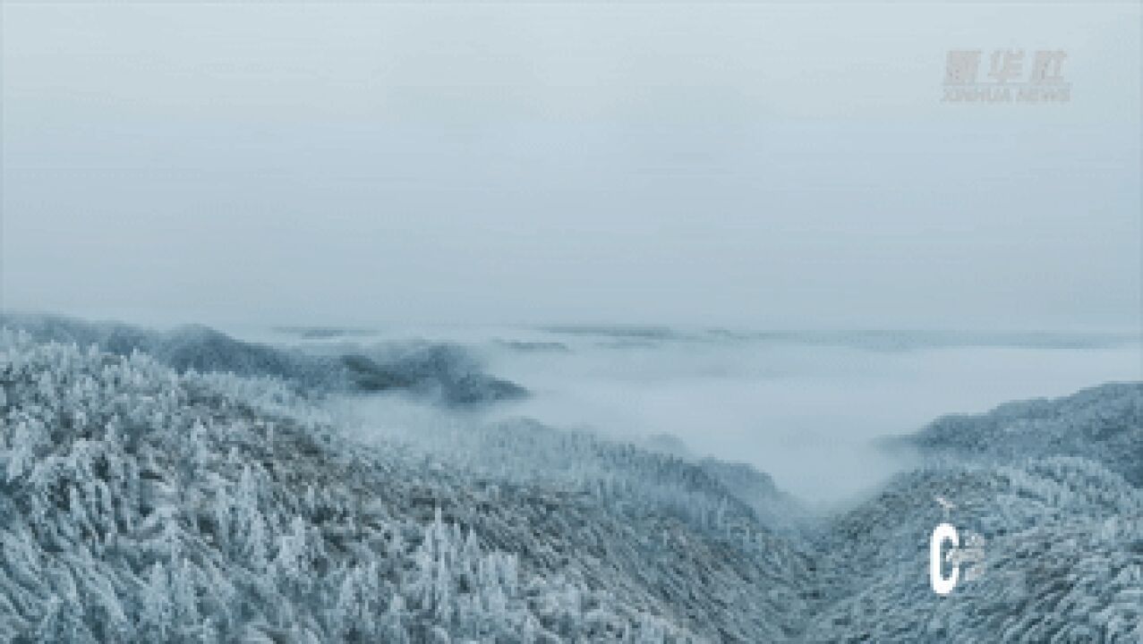 瞰中国|湖南双牌:雾凇雪景美若仙境