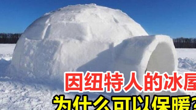 因纽特人的冰屋,为什么可以保暖?雪不会化吗?