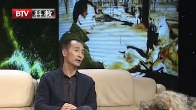 王为民喂食小狼,小狼却拒绝进食,原因竟是这样