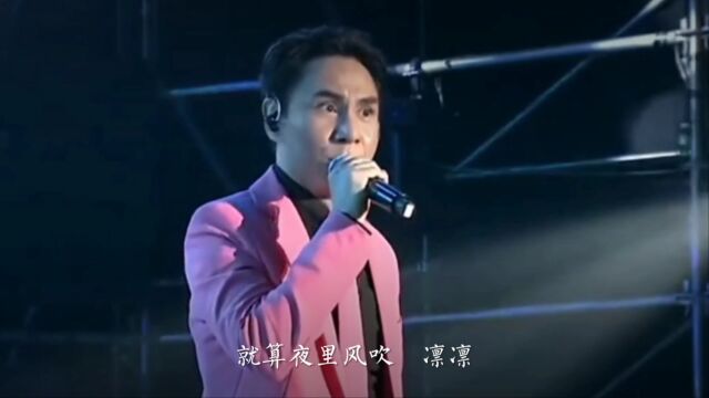 经典歌曲《伤感的恋人》优美的旋律!不愧是音乐诗人!