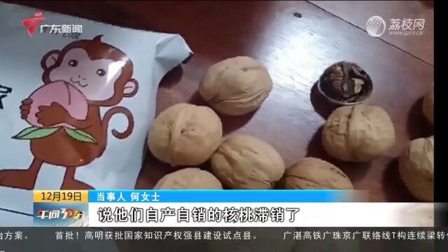 广州:购物订单无故消失?律师:小心网购陷阱