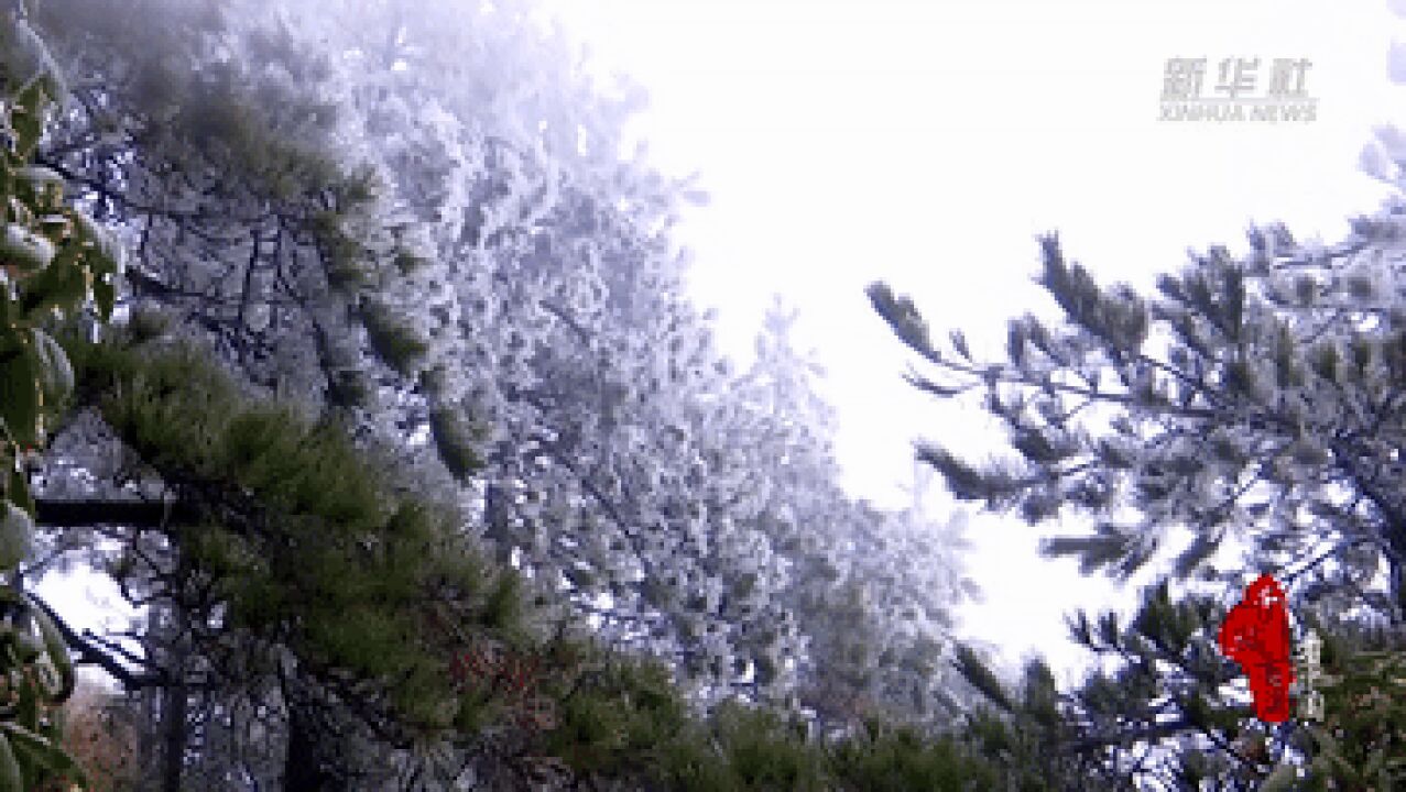 千城百县看中国|福建泉州:九仙山迎来“雨雾凇”