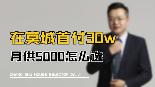 在莫城首付30w月供5000怎么选?