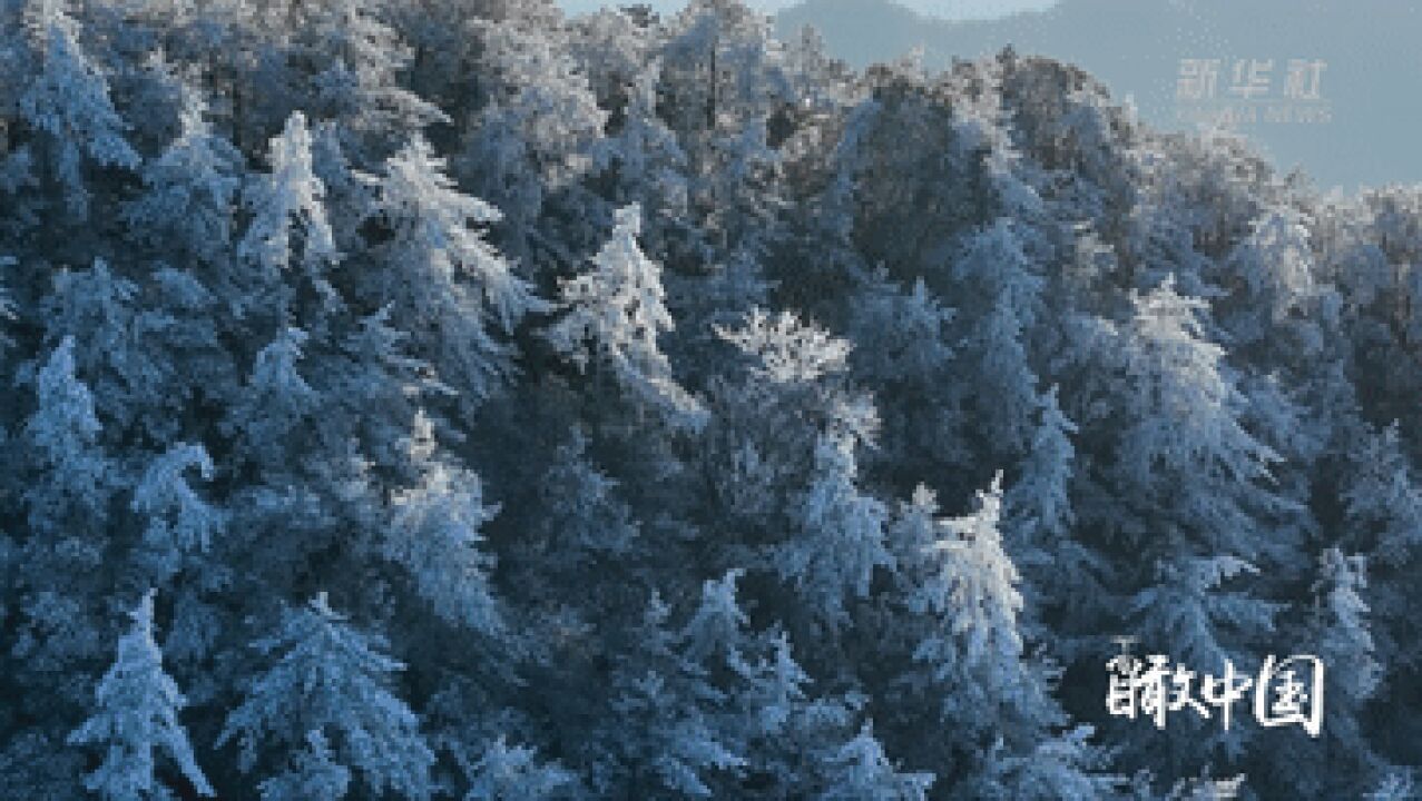 瞰中国|福建连城:高山雾凇景美如画