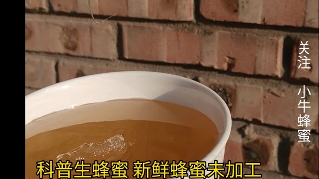 蜂蜜水的正确喝法及最佳时间蜂蜜的功效与作用 吃蜂蜜有什么好处 #蜂蜜 #蜂王浆 #蜂胶 关注小牛蜂蜜带你了解更多蜂知识.