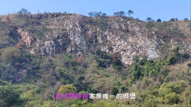 美丽的大山