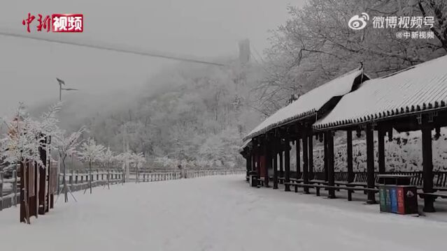 近日,一场大雪为宁强县汉江源景区的山岭带来了千姿百态的冰雪景观