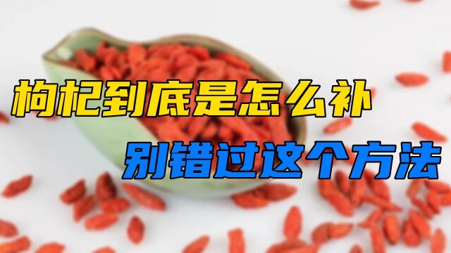 枸杞到底是补什么的,怎么补?千万别错过这个方法