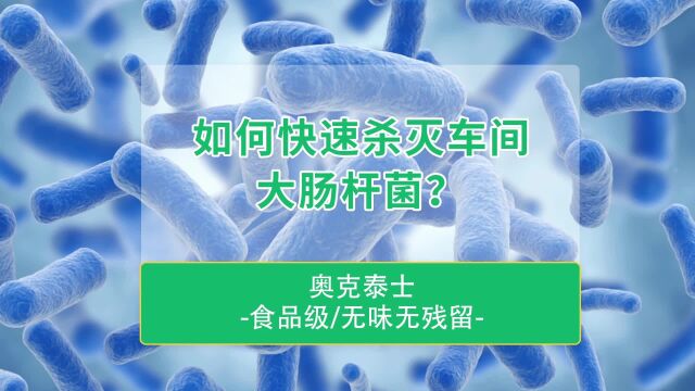 食品加工车间大肠杆菌污染如何快速杀灭?车间空气消毒用什么消毒杀菌剂好?