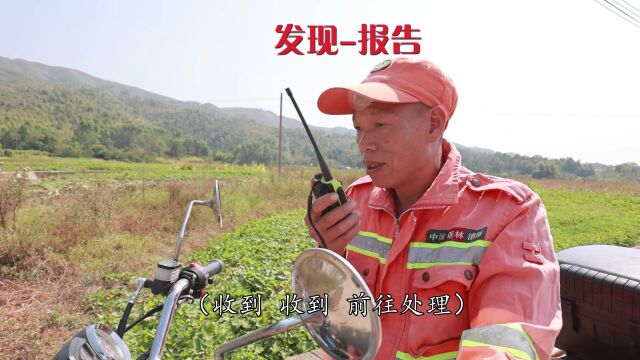 忠信镇:设立森林防火瞭望点,架起守护青山“千里眼”