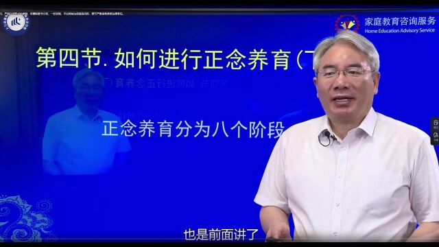 (中级)家庭教育咨询服务 26祝卓宏:如何进行正念养育(下)