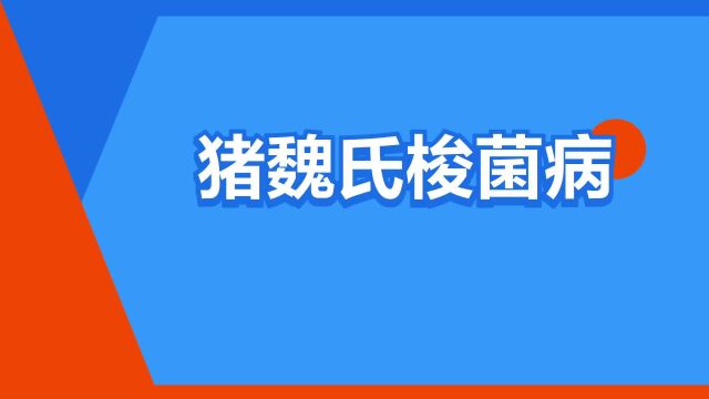 “猪魏氏梭菌病”是什么意思?