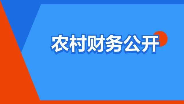 “农村财务公开”是什么意思?