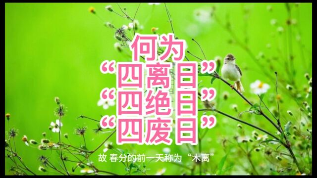 四离日,四绝日,四废日到底是哪些日子