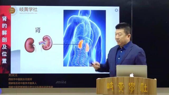 第十节藏象学说 19上