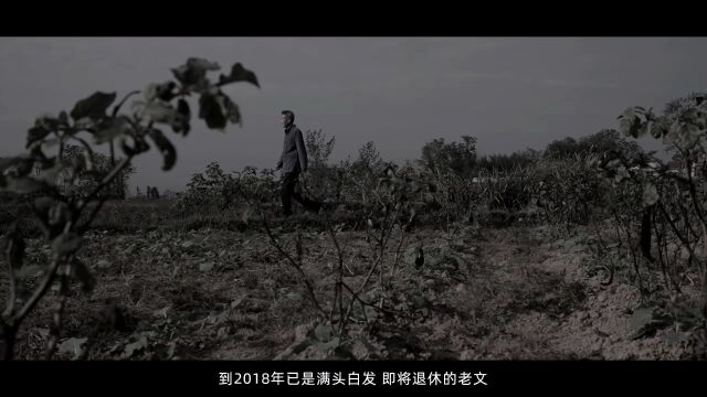 农产品成本调查70周年专栏之五十九 | 湖南:奋楫笃行守初心 踔厉奋发向未来(附视频)