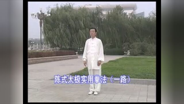 邓新华先生演练洪式太极拳一路(上传:李延峰)