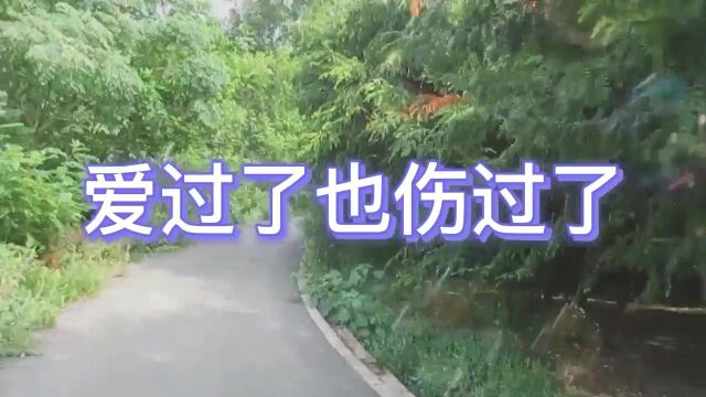 爱过了也伤过了  歌曲