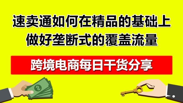 2.速卖通如何在精品的基础上,做好垄断式的覆盖流量?