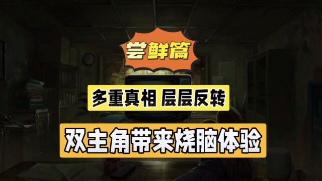 黑暗笔录:多重真相层层反转,双主角带来烧脑体验!