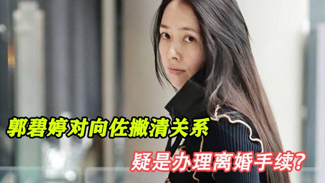 郭碧婷对向佐撇清关系,独自带女儿飞香港,疑是办理离婚手续?