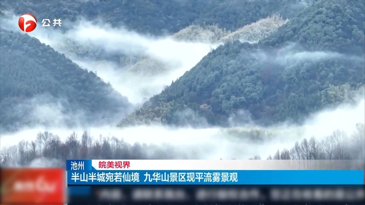 池州:半山半城宛若仙境,九华山景区现平流雾景观