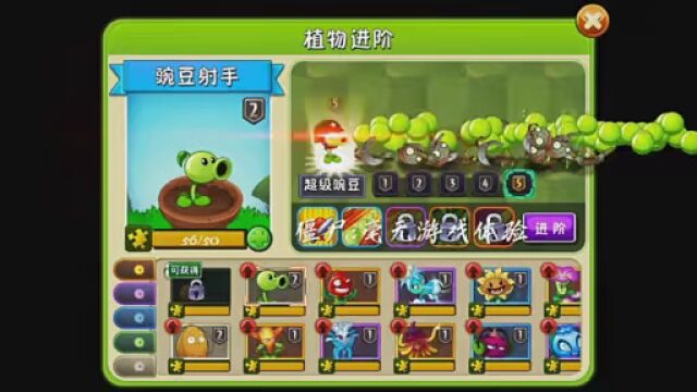 #游戏 #植物大战僵尸2 #pvz2中文版 豌豆药剂师普通攻击伤害1200,大招伤害2400,扮装大招伤害3600